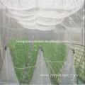 Anti Insect Netting for Greenhouse Protection